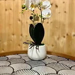 Buekk Apartamento