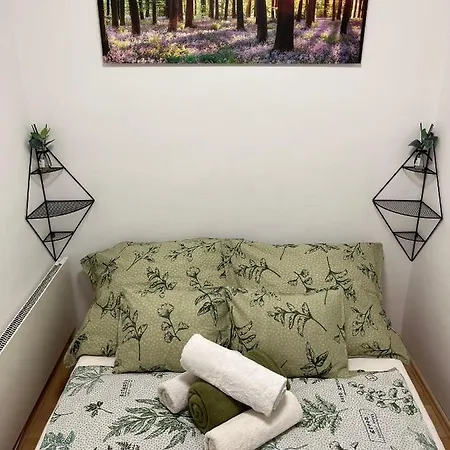 Buekk Bükkszentkereszt