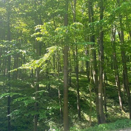 Buekk アパート ブックセントケレスト